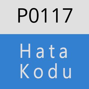 P0117 hatasi