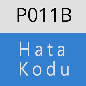 P011B hatasi