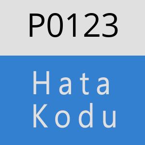 P0123 hatasi