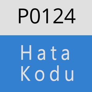 P0124 hatasi