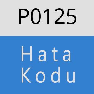 P0125 hatasi