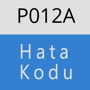 P012A hatasi