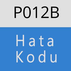 P012B hatasi