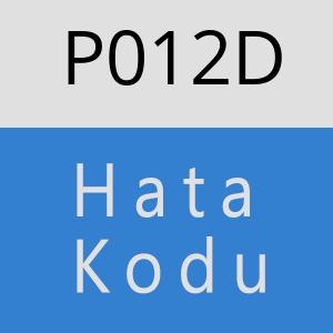 P012D hatasi