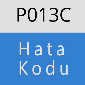 P013C hatasi