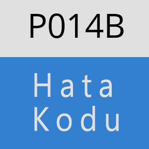 P014B hatasi