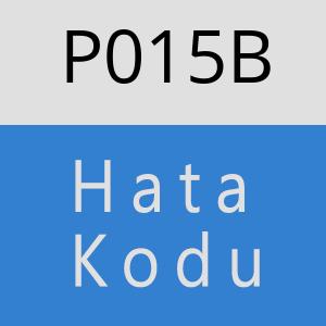 P015B hatasi