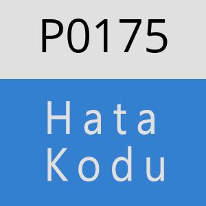 P0175 hatasi