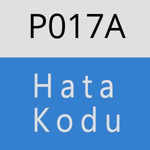 P017A hatasi