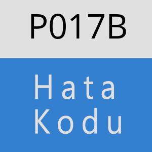 P017B hatasi