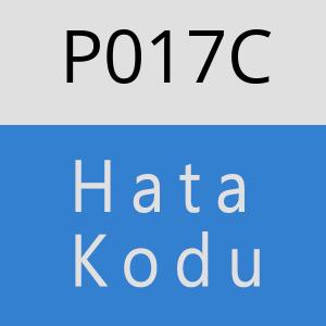 P017C hatasi