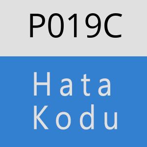 P019C hatasi