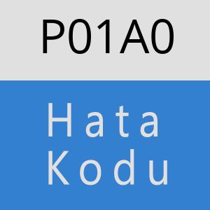 P01A0 hatasi