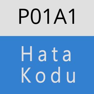 P01A1 hatasi