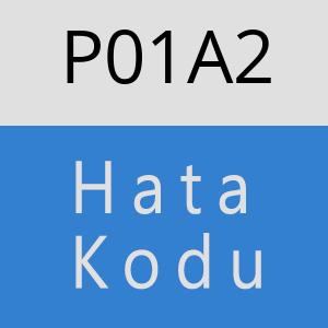 P01A2 hatasi