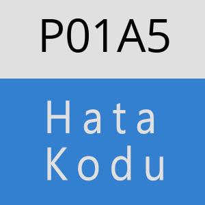 P01A5 hatasi