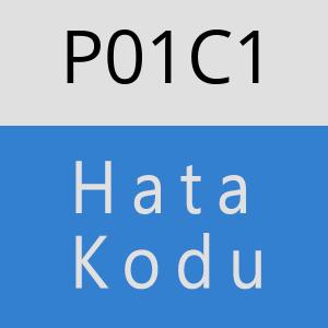 P01C1 hatasi