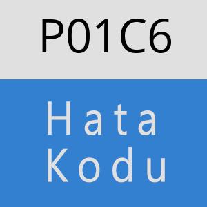 P01C6 hatasi