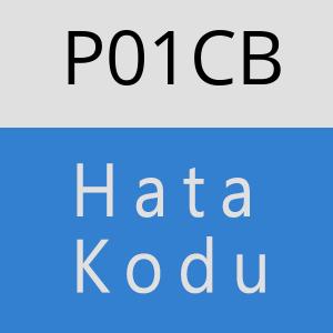 P01CB hatasi