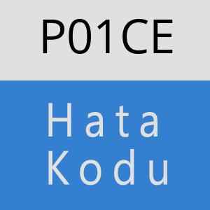 P01CE hatasi