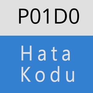 P01D0 hatasi