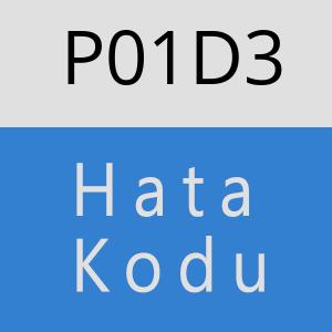 P01D3 hatasi