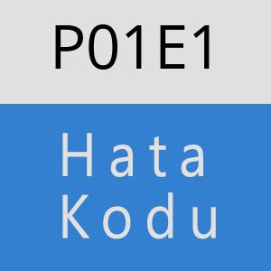 P01E1 hatasi