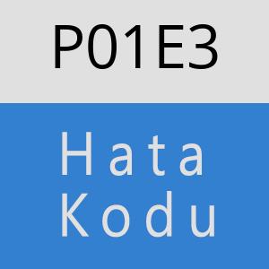 P01E3 hatasi