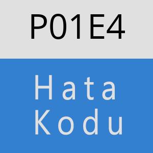 P01E4 hatasi