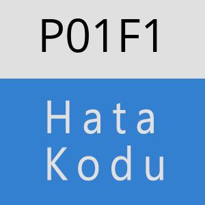 P01F1 hatasi