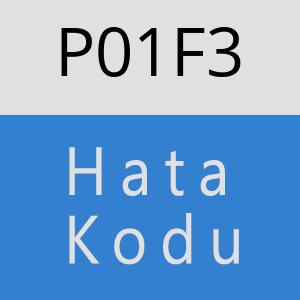 P01F3 hatasi