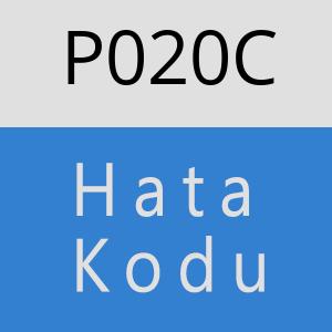 P020C hatasi