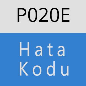 P020E hatasi