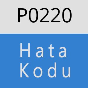 P0220 hatasi