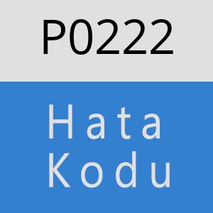 P0222 hatasi