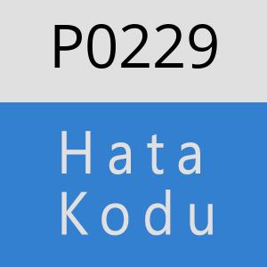 P0229 hatasi