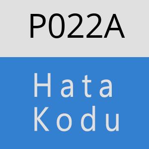 P022A hatasi