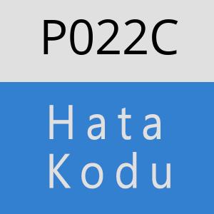 P022C hatasi