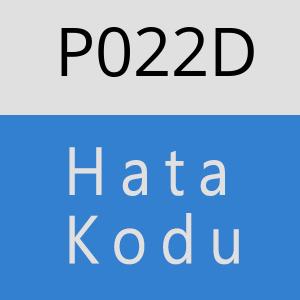 P022D hatasi