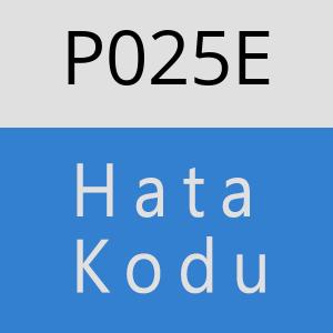 P025E hatasi