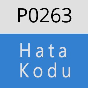 P0263 hatasi