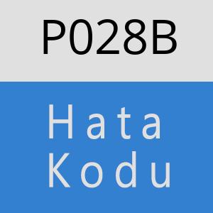 P028B hatasi