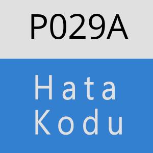 P029A hatasi