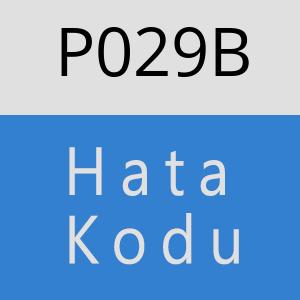 P029B hatasi