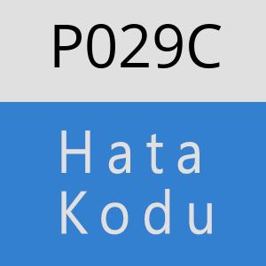 P029C hatasi