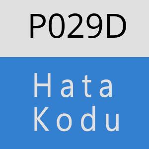 P029D hatasi