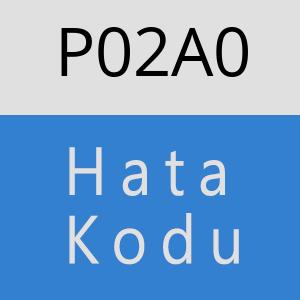 P02A0 hatasi