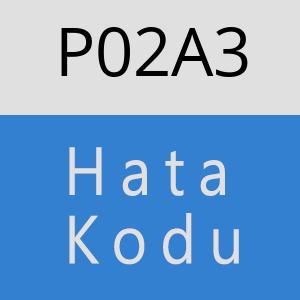 P02A3 hatasi