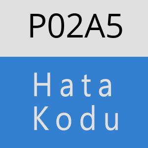 P02A5 hatasi