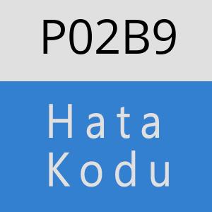 P02B9 hatasi